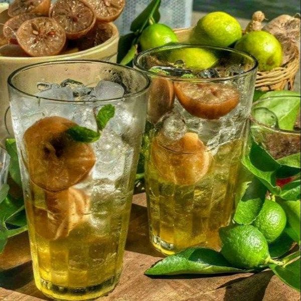 CHANH MUỐI NGÂM ĐƯỜNG PHÈN GIẢI NHIỆT NGÀY NẮNG NÓNG - WINNIE HOUSE CHANH MUỐI NGÂM ĐƯỜNG PHÈN GIẢI NHIỆT NGÀY NẮNG NÓNG - WINNIE HOUSE