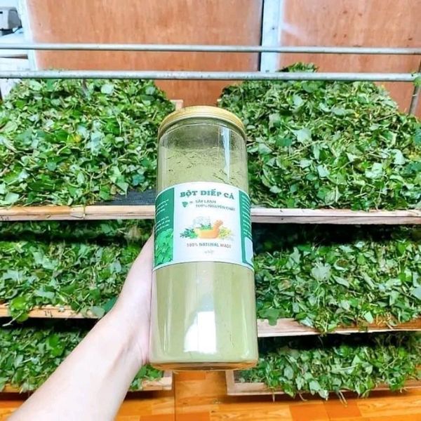 Bột diếp cá sấy lạnh, hữu cơ nguyên chất 100% CTB749 - BECHIP Bột diếp cá sấy lạnh, hữu cơ nguyên chất 100% CTB749 - BECHIP