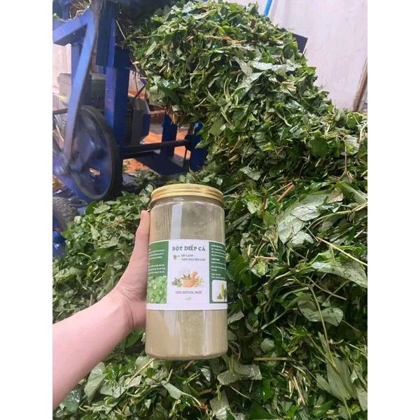 Bột diếp cá sấy lạnh, hữu cơ nguyên chất 100% CTB749 - BECHIP Bột diếp cá sấy lạnh, hữu cơ nguyên chất 100% CTB749 - BECHIP