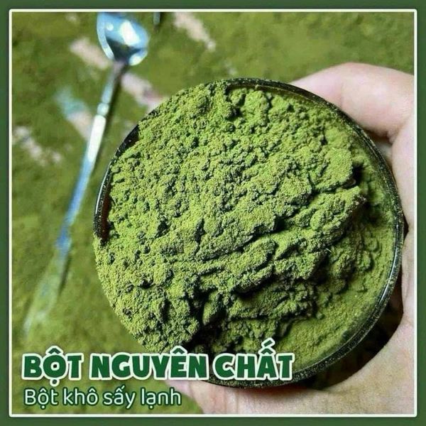 Bột diếp cá sấy lạnh, hữu cơ nguyên chất 100% CTB749 - BECHIP Bột diếp cá sấy lạnh, hữu cơ nguyên chất 100% CTB749 - BECHIP
