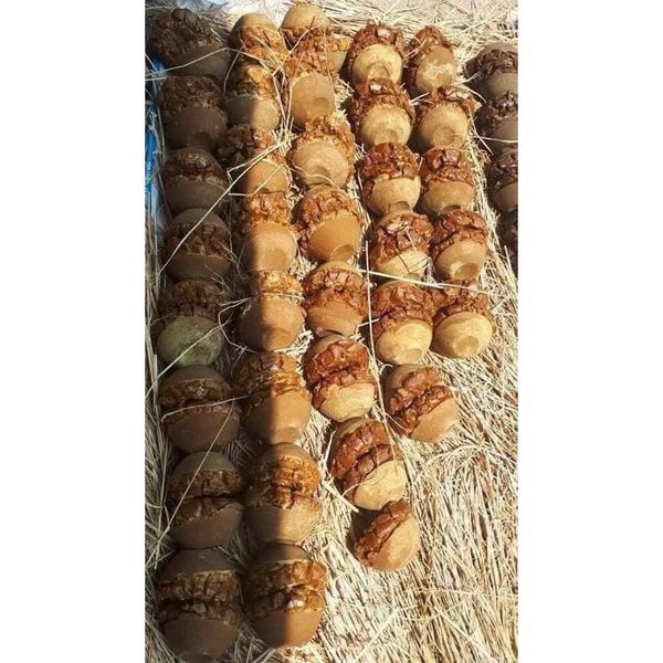 COMBPO 2 BÁT ĐƯỜNG BÁT QUẢNG NGÃI, ĐƯỜNG MÍA THÔ NGUYÊN BÁT, NGUYÊN CHẤT TỪ MÍA 100% - CTB781 COMBPO 2 BÁT ĐƯỜNG BÁT QUẢNG NGÃI, ĐƯỜNG MÍA THÔ NGUYÊN BÁT, NGUYÊN CHẤT TỪ MÍA 100% - CTB781