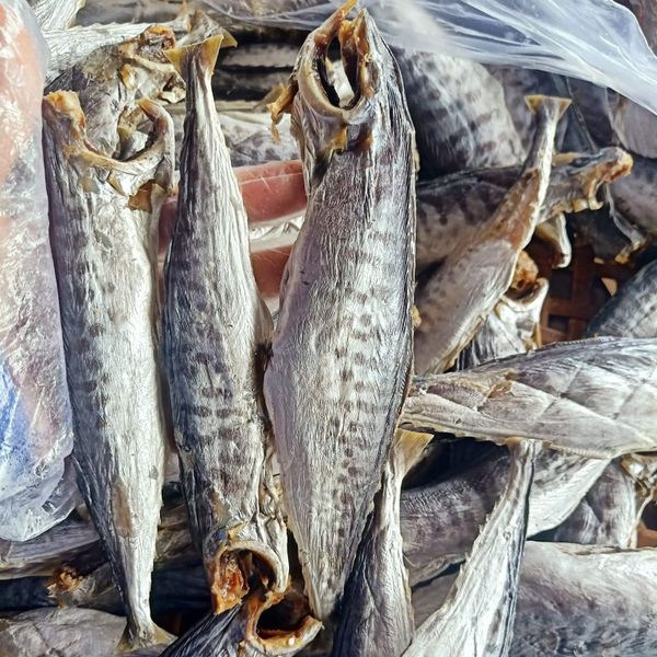 KHÔ CÁ THU NGUYÊN CON MUỐI MẶN 500G - VỰA KHÔ BẾN TRE KHÔ CÁ THU NGUYÊN CON MUỐI MẶN 500G - VỰA KHÔ BẾN TRE