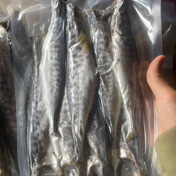 KHÔ CÁ THU NGUYÊN CON MUỐI MẶN 500G - VỰA KHÔ BẾN TRE KHÔ CÁ THU NGUYÊN CON MUỐI MẶN 500G - VỰA KHÔ BẾN TRE