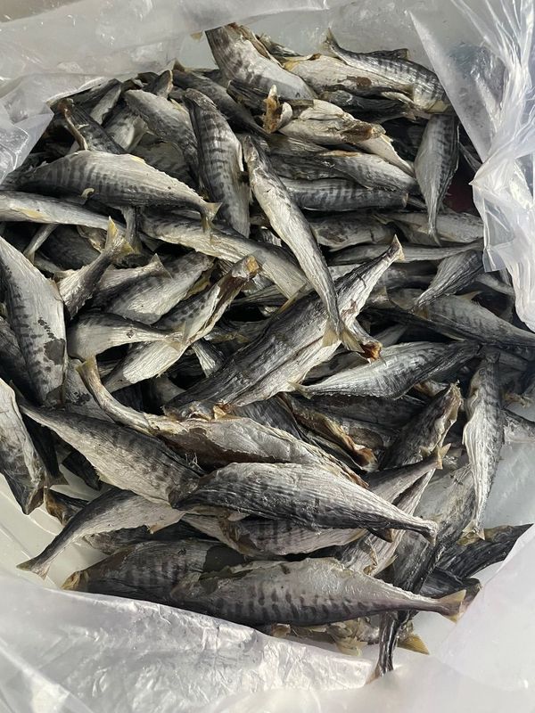 KHÔ CÁ THU NGUYÊN CON MUỐI MẶN 500G - VỰA KHÔ BẾN TRE KHÔ CÁ THU NGUYÊN CON MUỐI MẶN 500G - VỰA KHÔ BẾN TRE