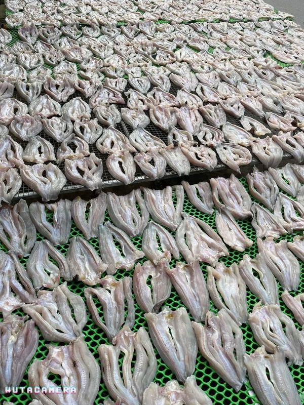 KHÔ CÁ LÓC ƯỚP MẶN VỪA ĂN 500G - VỰA KHÔ BẾN TRE KHÔ CÁ LÓC ƯỚP MẶN VỪA ĂN 500G - VỰA KHÔ BẾN TRE