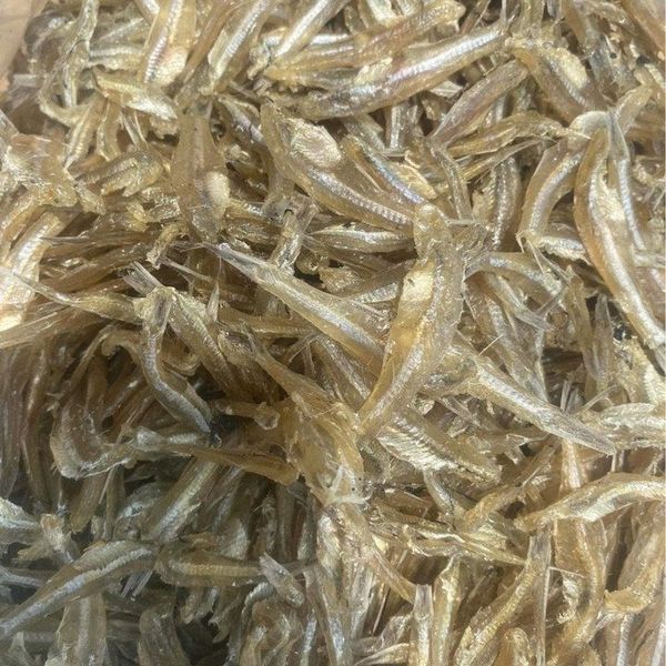 KHÔ CÁ CƠM - VỰA KHÔ BẾN TRE KHÔ CÁ CƠM - VỰA KHÔ BẾN TRE