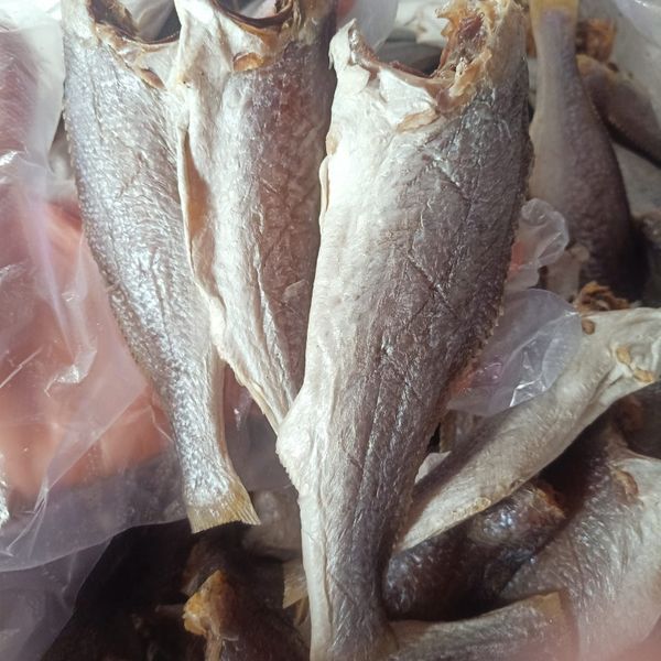 KHÔ CÁ ĐÙ ƯỚP MẶN 500G 10TỚI15 CON - VỰA KHÔ BẾN TRE KHÔ CÁ ĐÙ ƯỚP MẶN 500G 10TỚI15 CON - VỰA KHÔ BẾN TRE