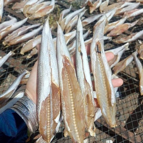KHÔ CÁ MỐI NGUYÊN CON MUỐI MẶN 500G - VỰA KHÔ BẾN TRE KHÔ CÁ MỐI NGUYÊN CON MUỐI MẶN 500G - VỰA KHÔ BẾN TRE