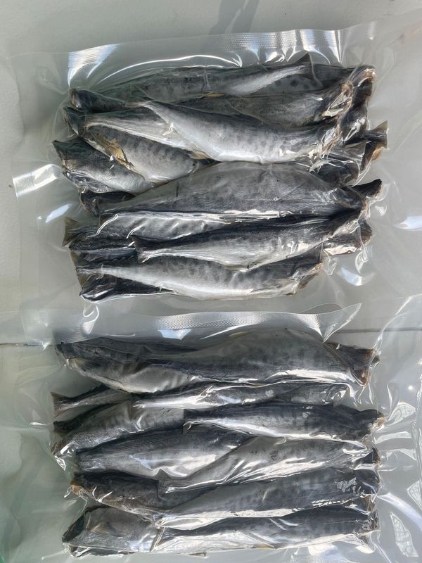 KHÔ CÁ THU NGUYÊN CON MUỐI MẶN 500G - VỰA KHÔ BẾN TRE KHÔ CÁ THU NGUYÊN CON MUỐI MẶN 500G - VỰA KHÔ BẾN TRE