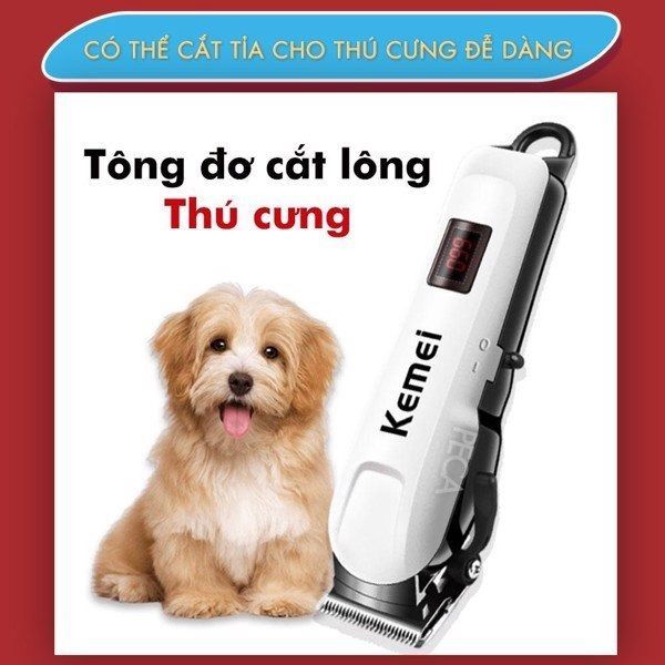 TÔNG ĐƠ CẮT TÓC KHÔNG DÂY KEMEI KM-809A PLUS CHỐNG NƯỚC CHUYÊN NGHIỆP MÀN HÌNH LCD HIỂN THỊ PIN, CẮT ĐƯỢC LÔNG CHO THÚ CƯNG, CHÓ, MÈO GD086 - LADY'S PASSION TÔNG ĐƠ CẮT TÓC KHÔNG DÂY KEMEI KM-809A PLUS CHỐNG NƯỚC CHUYÊN NGHIỆP MÀN HÌNH LCD HIỂN THỊ PIN, CẮT ĐƯỢC LÔNG CHO THÚ CƯNG, CHÓ, MÈO GD086 - LADY'S PASSION