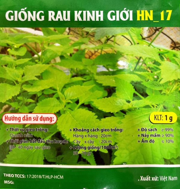 Hạt giống rau Kinh Giới (1 GRAM/BAO) giá sỉ, giá bán buôn - Thị Trường Sỉ
