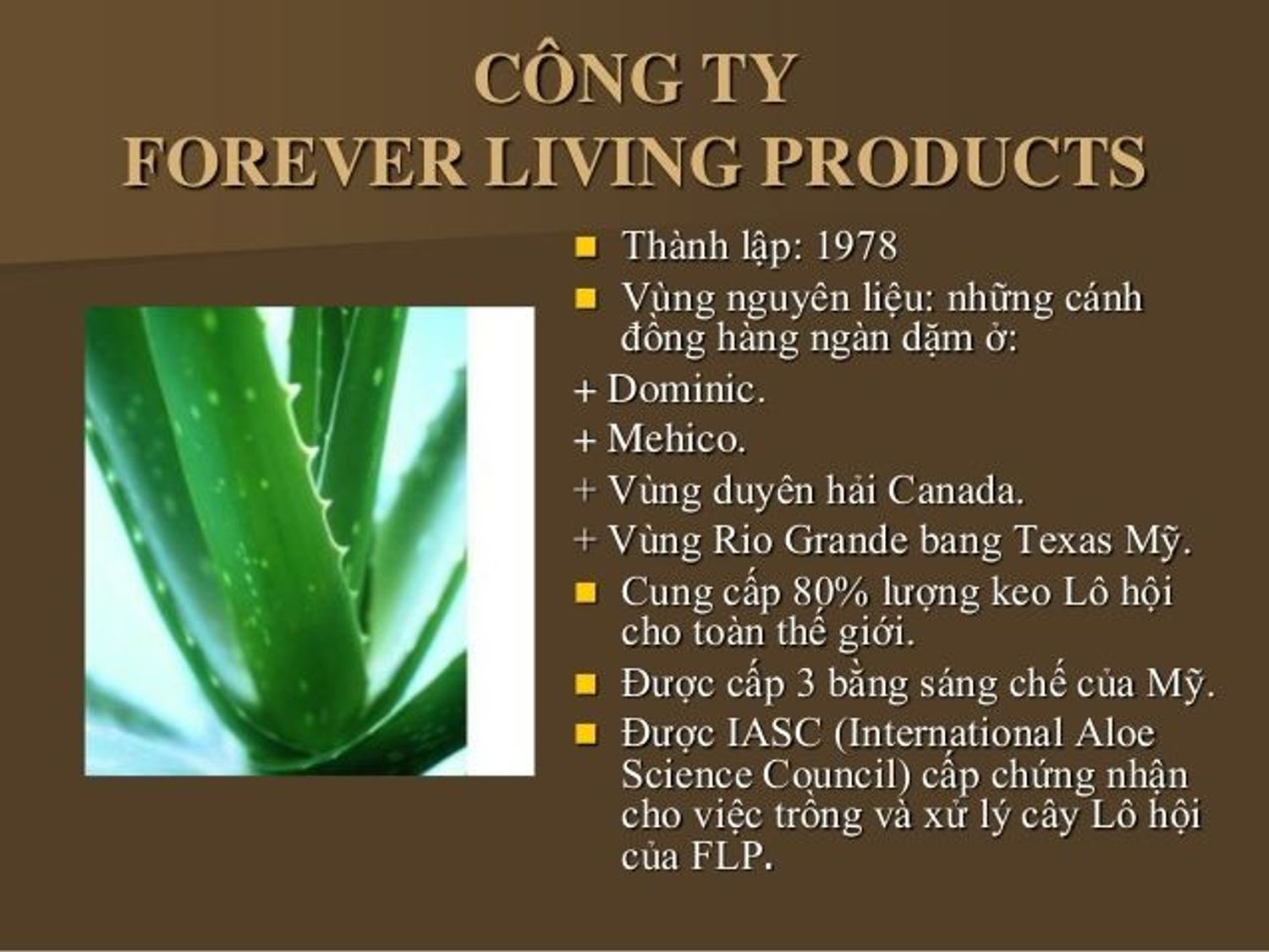 Sản phẩm Cty Lô Hội
