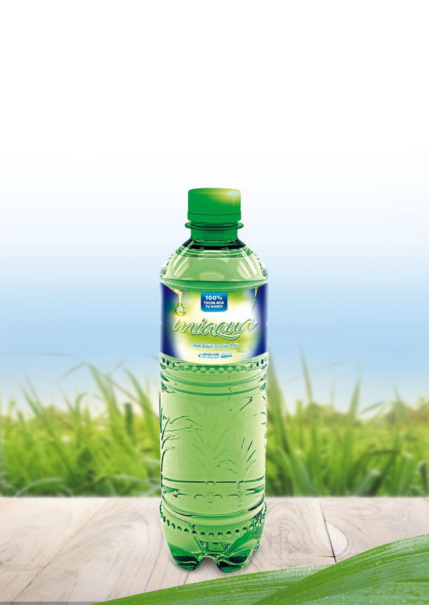 CT TNHH MTV NƯỚC MIAQUA