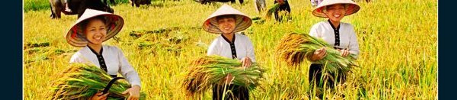 Thuốc Bắc chữa thoái hoá cột sống & xương khớp
