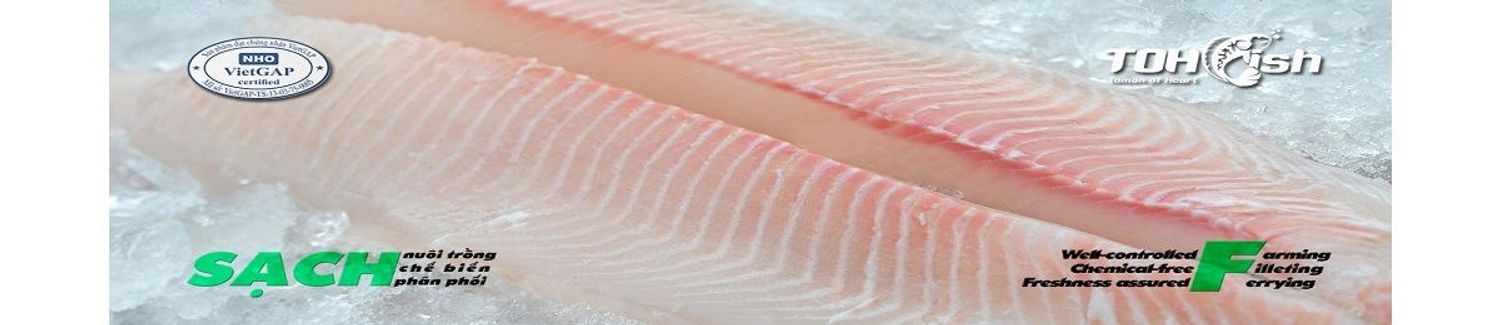 Công ty CP TOH fish - Nhà cung cấp sỉ và lẻ cá sạch