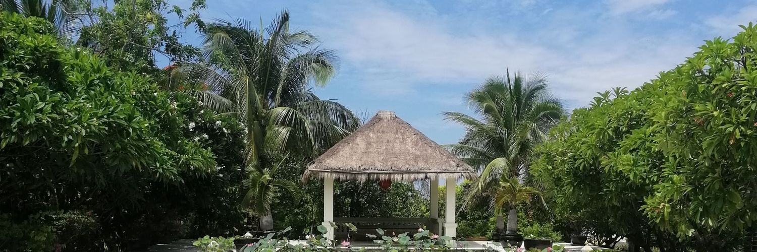 an nhiên 