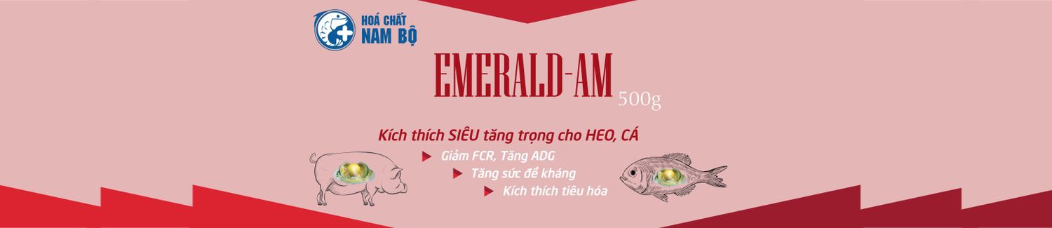 Hóa Chất Nam Bộ