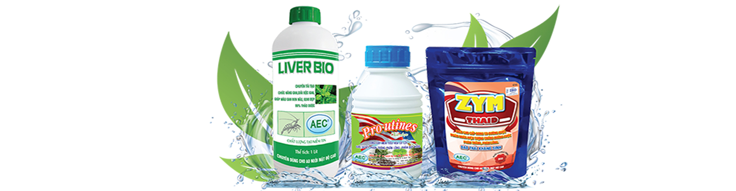 Âu Mỹ AEC