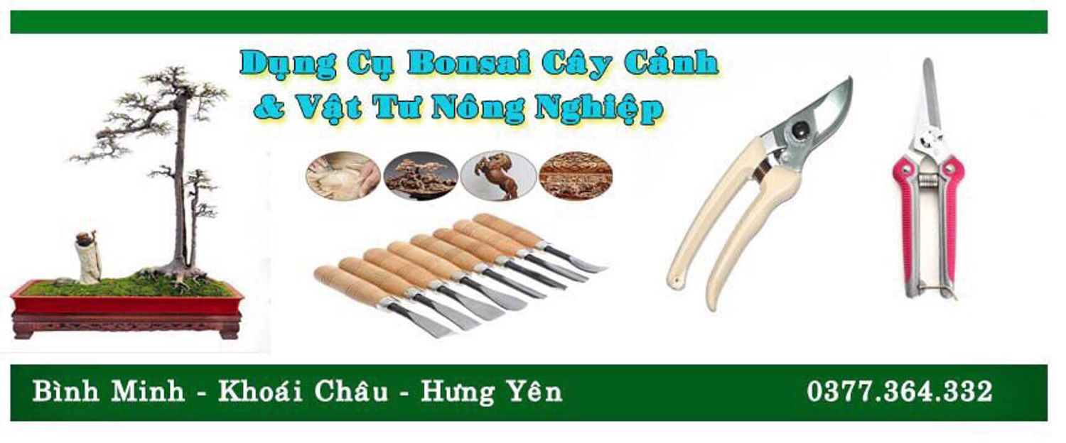 Dụng cụ Bonsai cây cảnh - Vật tư nông nghiệp