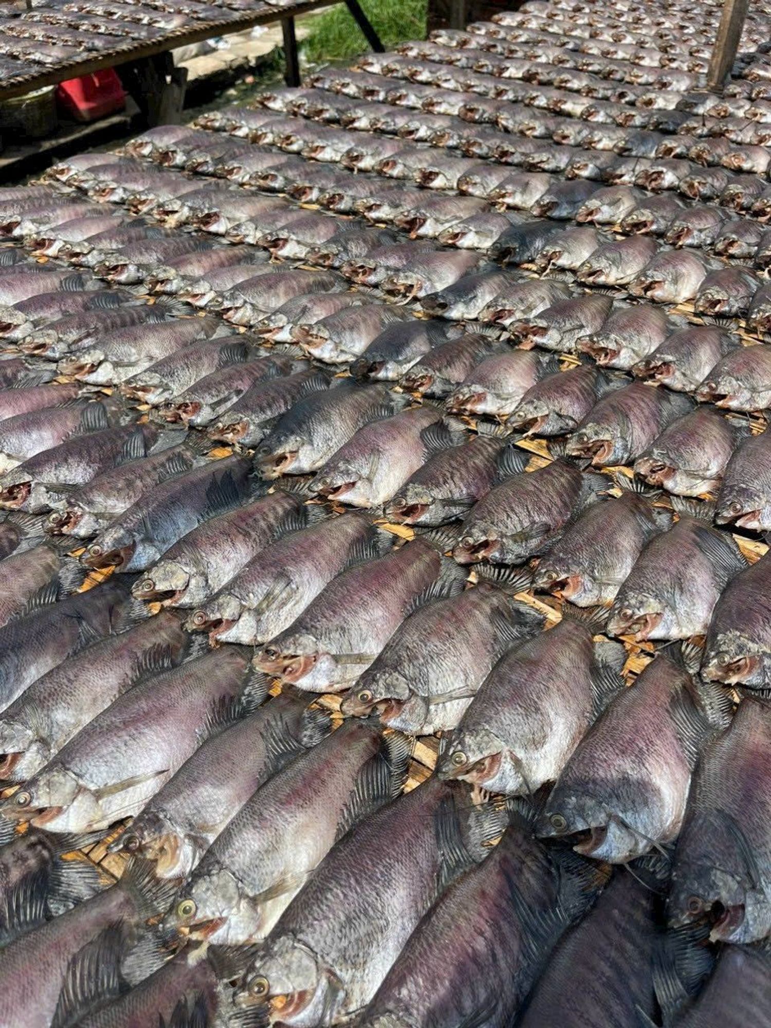 Trâm Anh SeaFoods