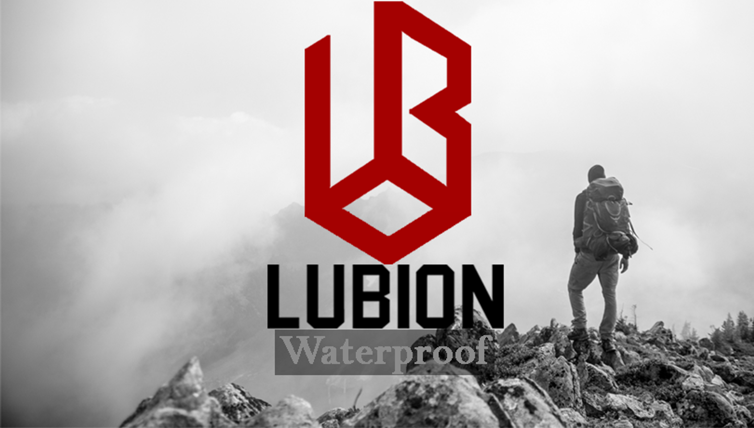Lubion Company